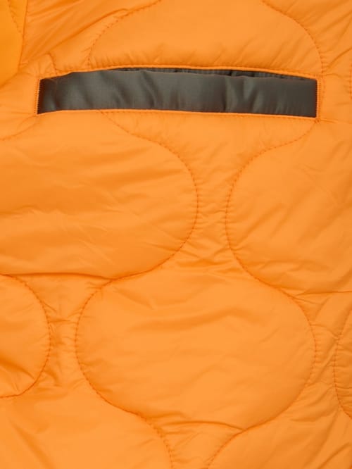 Alpha Industries: MA-1 UV bomber jacket