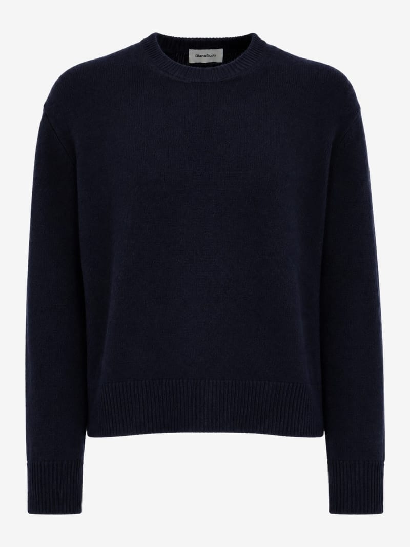 DIANA STUDIO: Crewneck merino & cashmere knit sweater