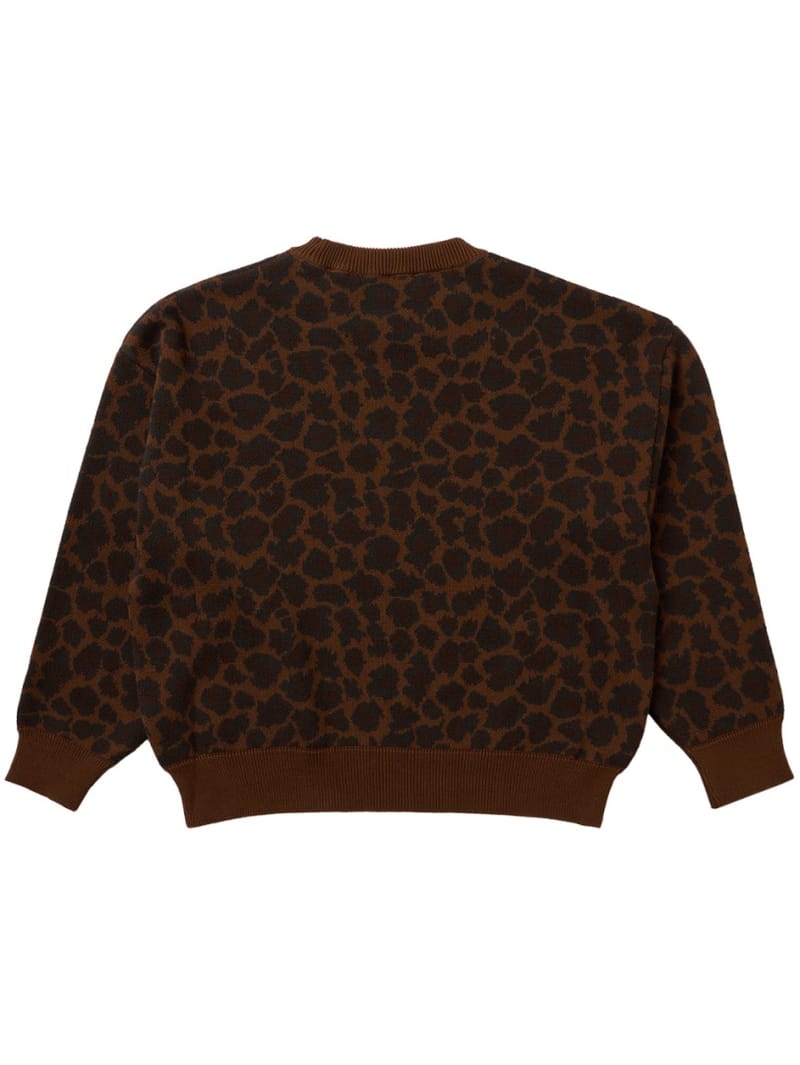 Main Story: Leopard jacquard organic cotton sweater
