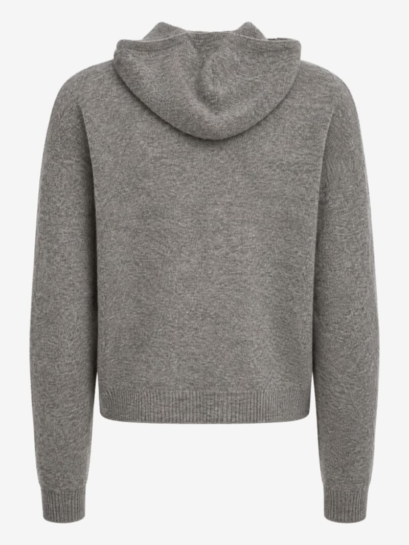 DIANA STUDIO: Merino wool & cashmere knit hoodie