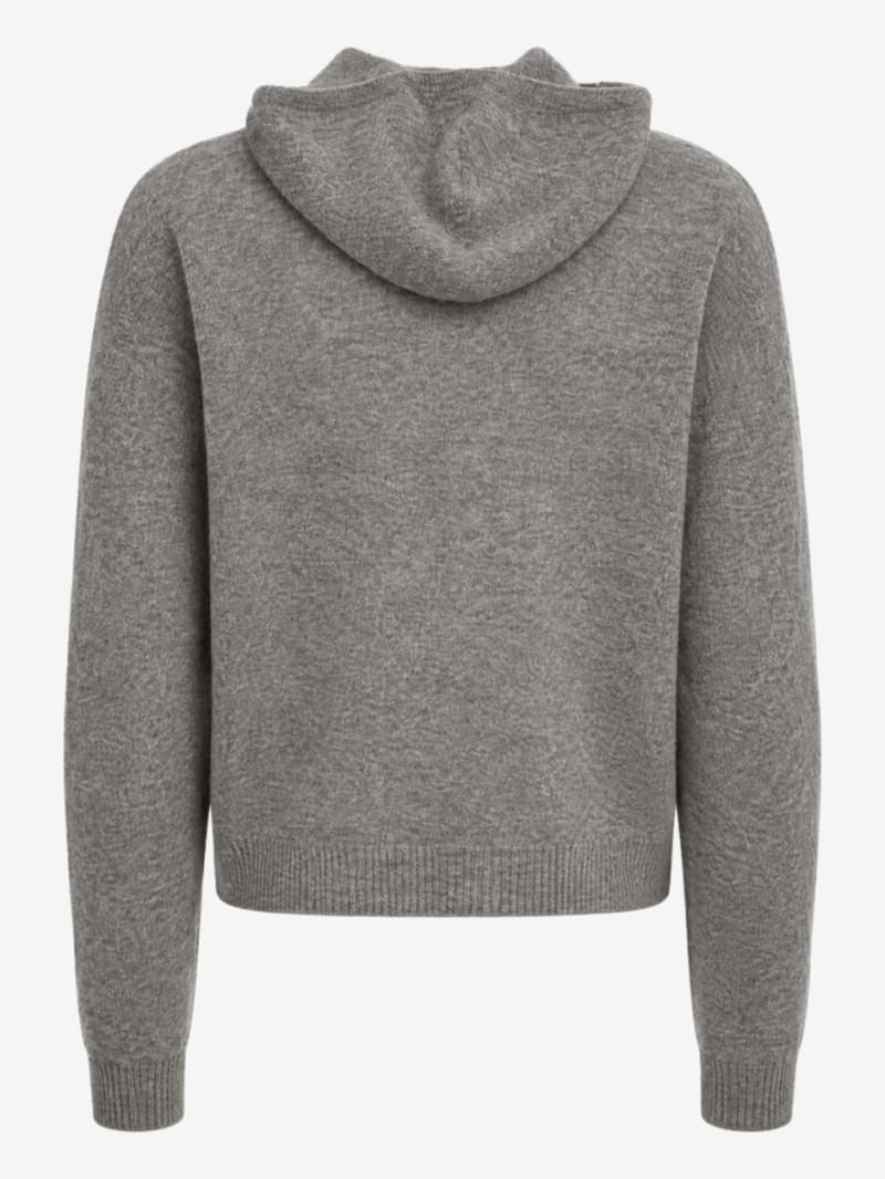 DIANA STUDIO - Merino wool & cashmere knit hoodie